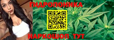 гашик Обнинск
