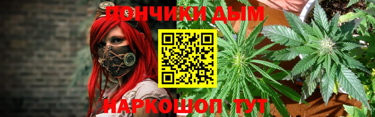 МАРИХУАНА ГИДРОПОН Тулун